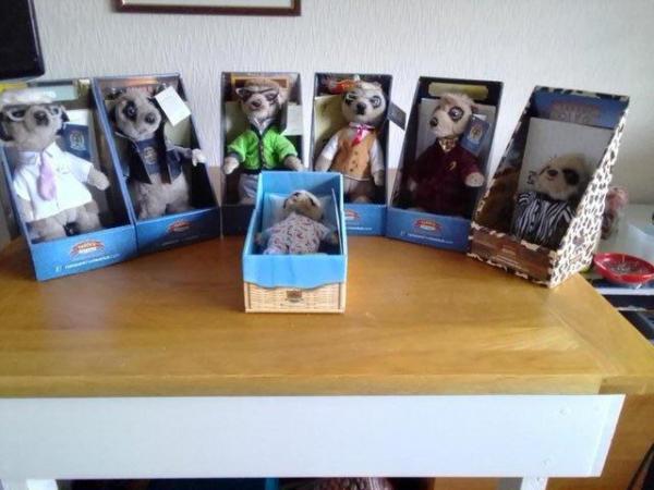 Image 3 of Compare The Meercat collection