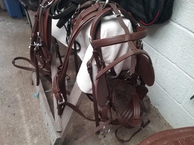 Preview of the first image of Zilco Classic harness Brown Full size.