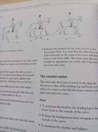 Image 4 of The BHS Manual of Equitation, the training of horse and ride