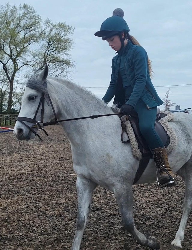 Preview of the first image of Welsh b 4 years old grey mare backed and riding away.