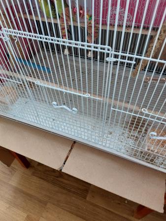 Image 4 of Large cage all accessories and food and 2 budgies