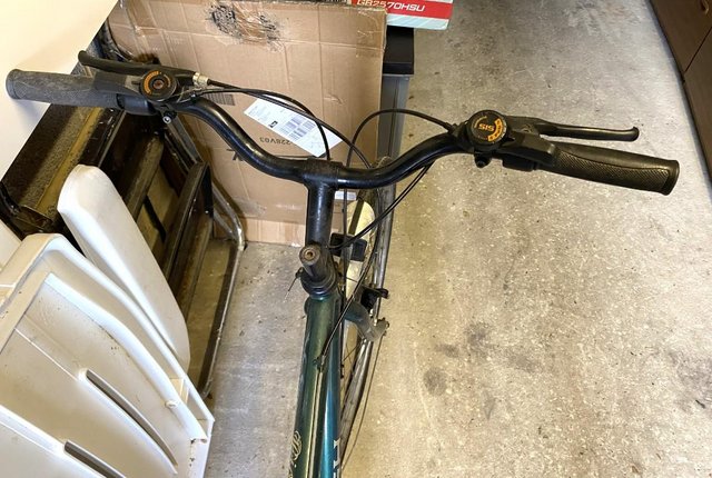 Preview of the first image of Raleigh Pioneer Pedal Bike.