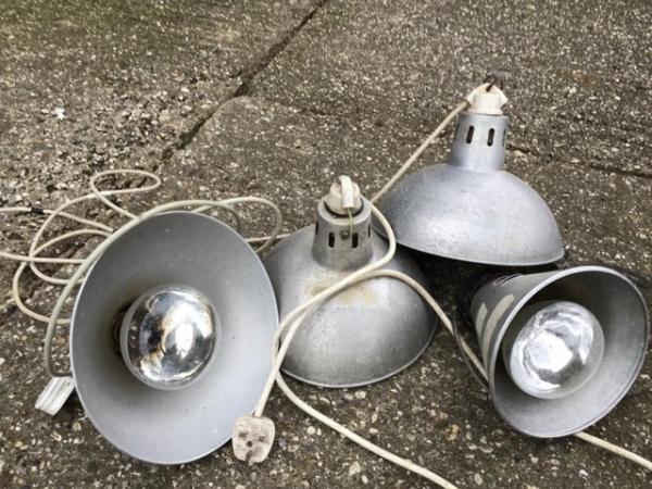 Image 1 of Electric heat lamps poultry or pets