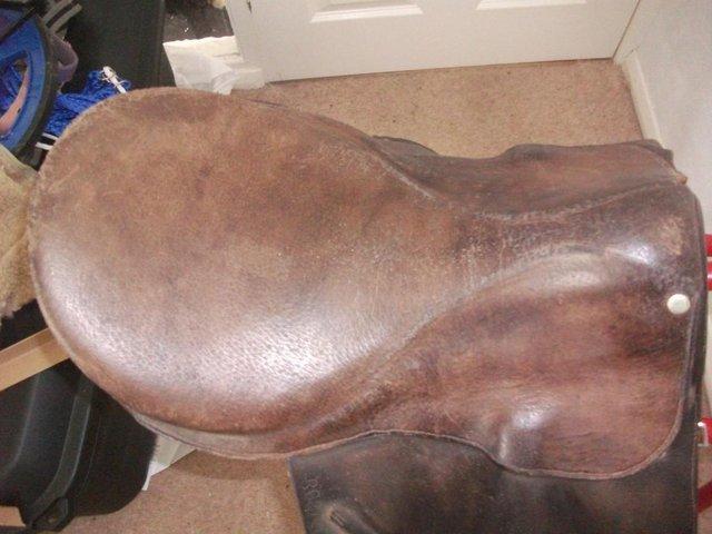 Preview of the first image of BARGAIN Saddle 16" English Leather straight panels.