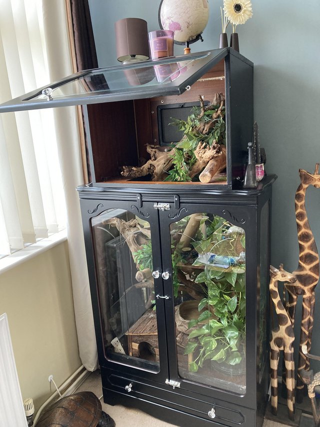 Preview of the first image of Custom built vivarium, would suit snake or lizard.