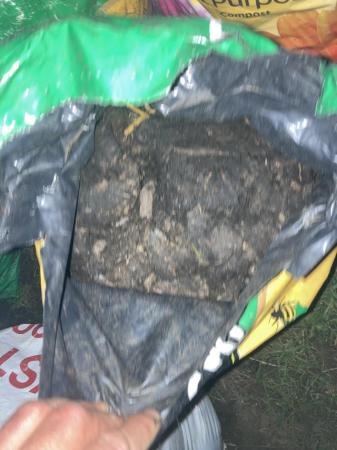 Image 2 of Free horse manure;bring a bag and fill it