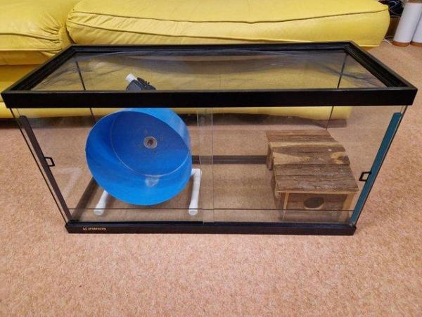 Image 4 of Pygmy hedgehog cage with accessories