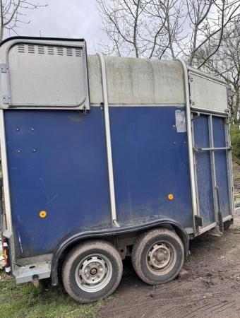 Image 1 of Blue ifor Williams 505 horse trailer