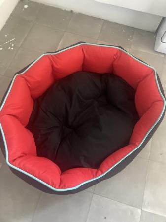 Image 5 of Dog bed.Small to medium
