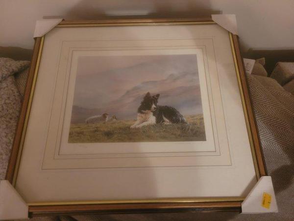 Image 4 of 11 Steven Townsend Limited Edition Prints - Border Collies