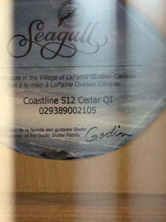 Image 3 of Seagull twelve string electro-acoustic guitar