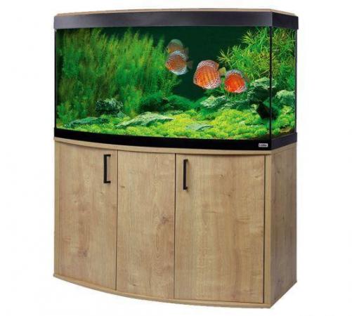 Image 15 of Fish Tanks Available At The Marp Centre