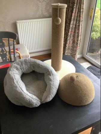 Image 2 of Cat / Kitten bed, scratching post and scratching dome