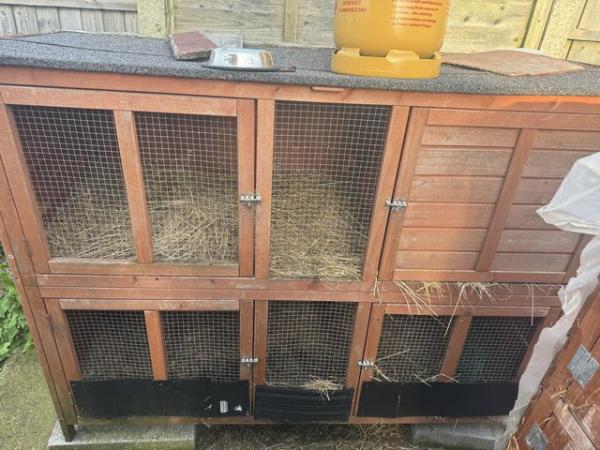 Image 1 of Rabbit/ guinea pig cages