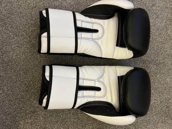 Image 2 of Cimac boxing gloves and focus mitts