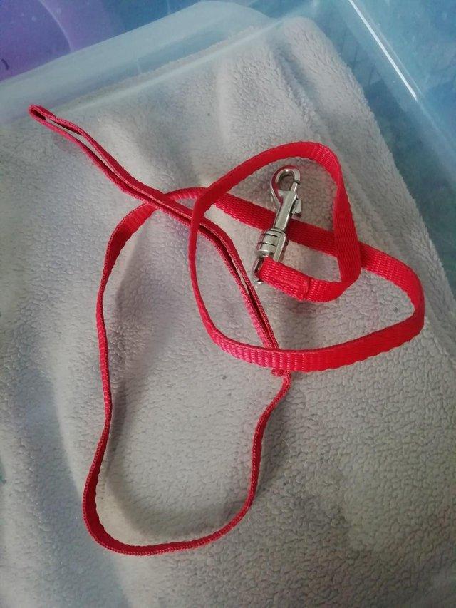 Preview of the first image of Small Animal Lead RED see pics.