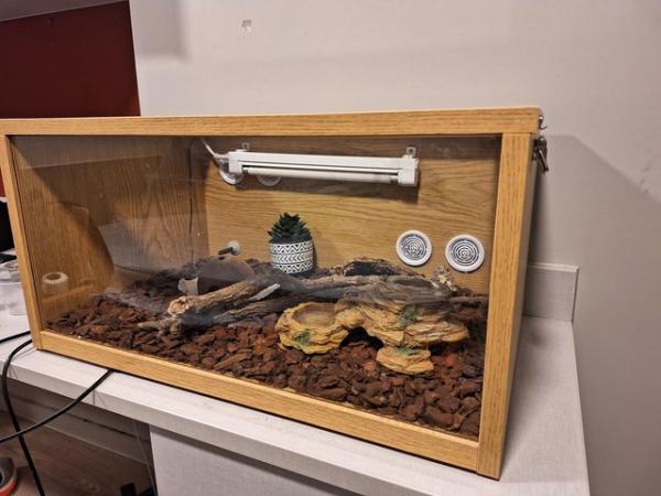 Image 6 of 1 year old leopard printgecko with all sets and tank