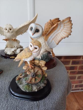 Image 2 of Collectable Owl ornaments