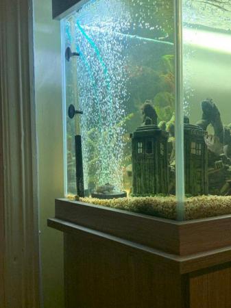 Image 2 of Fish tank and set up - SeaBray Elite 48" x 15" x 20” Aquariu
