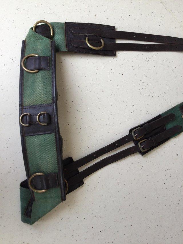 Preview of the first image of Roller and side reins - horse training aid.