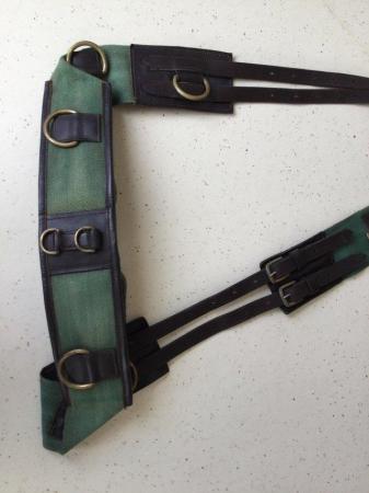 Image 1 of Roller and side reins - horse training aid