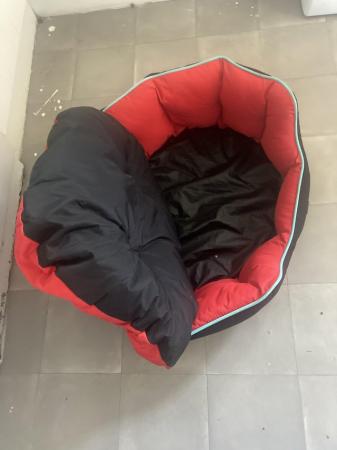 Image 1 of Dog bed.Small to medium