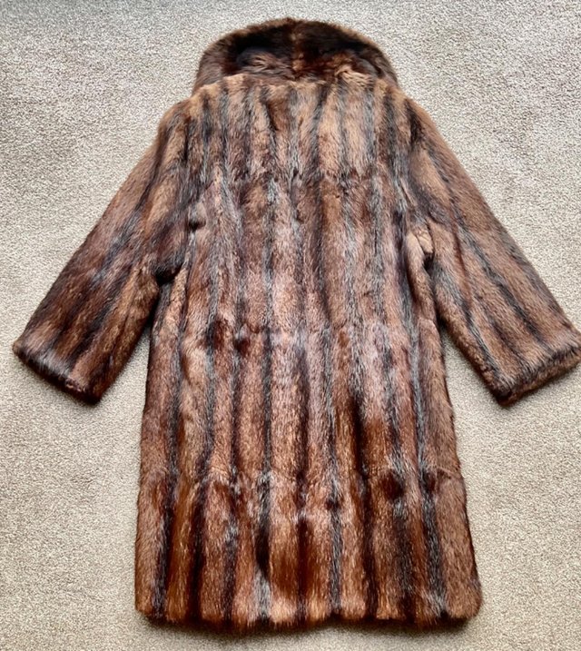 Preview of the first image of * LADIES BEAUTIFUL BROWN MUSCAT FUR COAT, NORWICH.