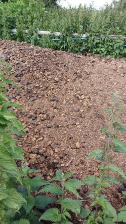 Image 1 of Composted horse manure free to collector
