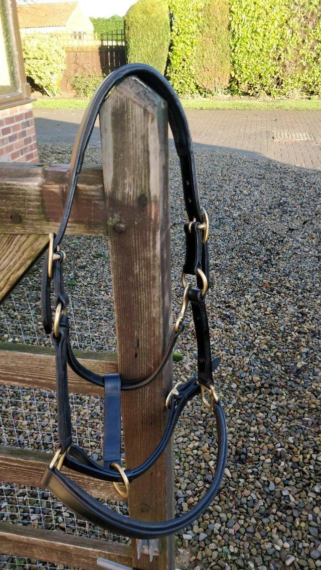 Preview of the first image of BLACK BRASS TACKS ENGLISH LEATHER HEADCOLLAR COB.
