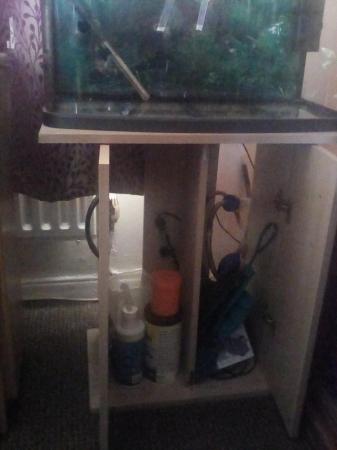 Image 5 of Two foot tropical fish tank free to any one