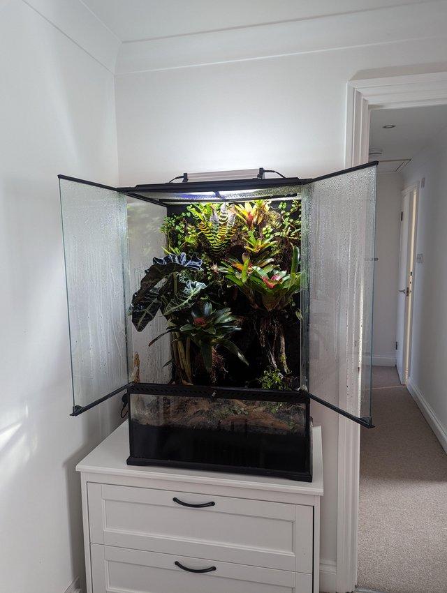 Preview of the first image of Tropical Bioactive Jungle Terrarium w/ Oophaga Dart Frogs.