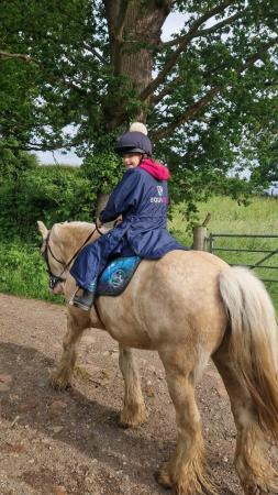 Image 2 of Summer horse riding available