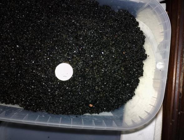 Image 1 of Black volcanic glass aquarium gravel