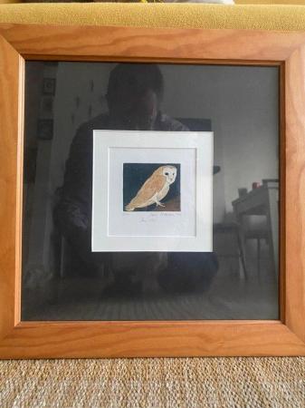 Image 2 of A framed beautiful owl print for sale