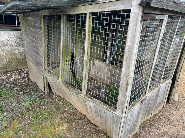 Preview of the first image of Double wood Kennel, Cattery, Aviary.