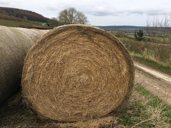 Image 3 of REDUCED! Meadow hay, ideal for Native ponies or laminitics
