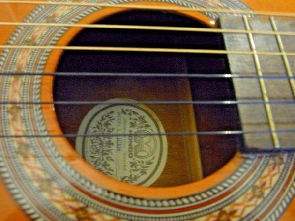 Image 3 of Classical Guitar Hondo H308 Great tone