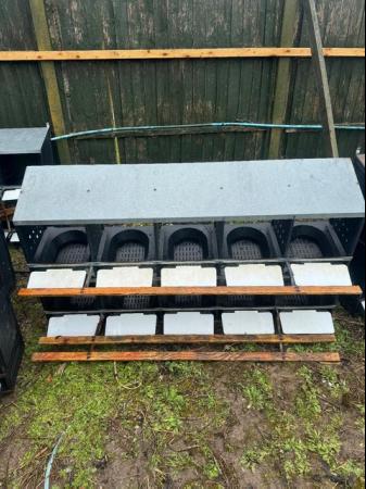 Image 2 of Chicken Nest Box 10 Bays roll out -Solway