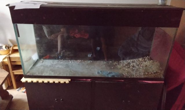 Image 3 of Fish tank, filter cabinet and lid