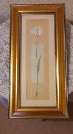 Image 1 of Gold Framed Picture 50cms x 25cms.
