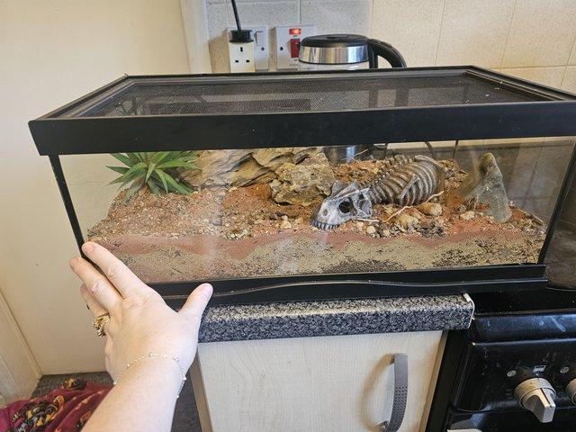 Preview of the first image of Zoo med glass terrarium,  tarantula  / scorpion.