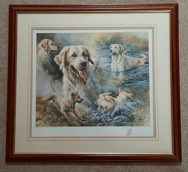 Preview of the first image of Golden Retriever print, framed..