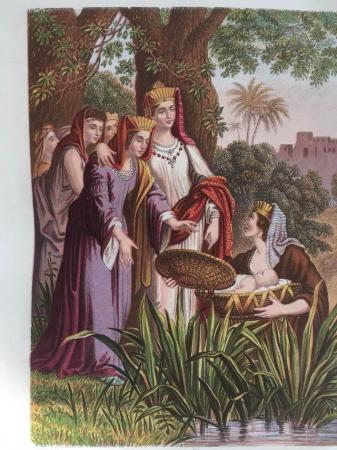 Image 3 of Bible c1850 Rev. John Brown - Self-Interpreting Holy Family