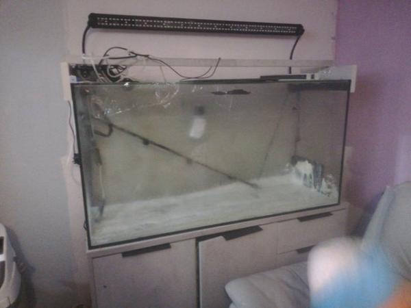 Image 1 of Fish tank unit and filter