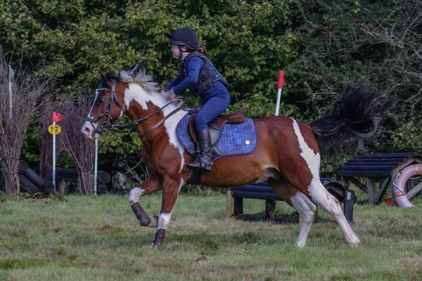 Preview of the first image of 13.2hh Rolo: The Boss Pony with a Spirited Side!.