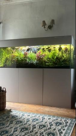 Image 9 of 680litre 6ft x 2ft x 2ft Aquarium, filters, heaters, stand..