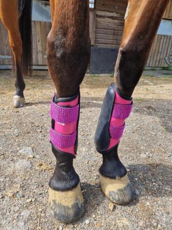 Image 2 of Pink bling full size tendon boots