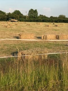 Image 1 of hay - last years suitable for stock