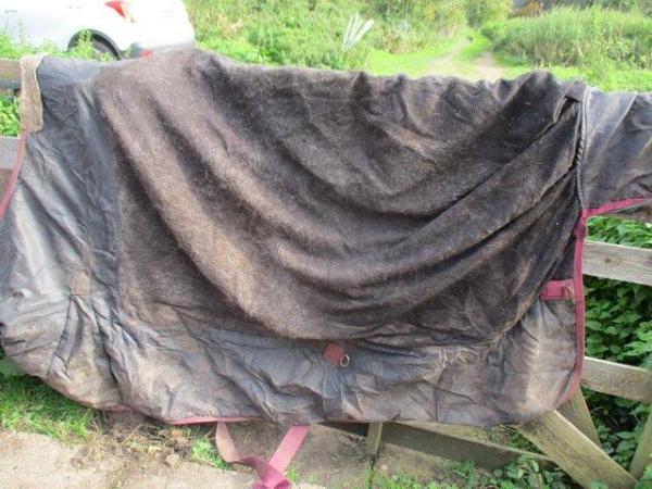 Image 2 of LIGHT WEIGHT TURNOUT RUG.........