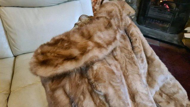 Image 7 of Vintage Fur Coat Lined with a Rich Complimentary Satin